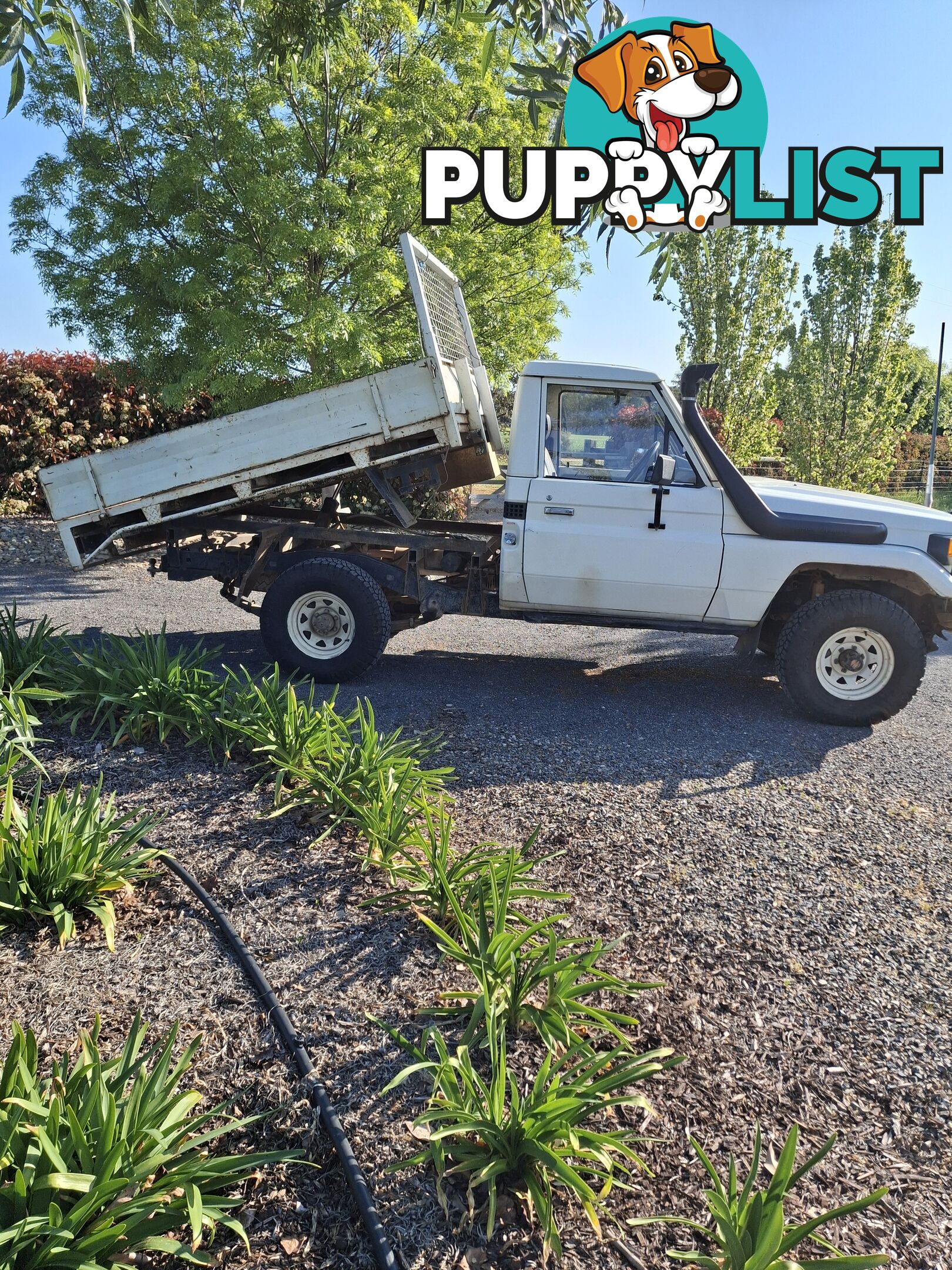 1987 Toyota Landcruiser HJ 75 Ute Manual