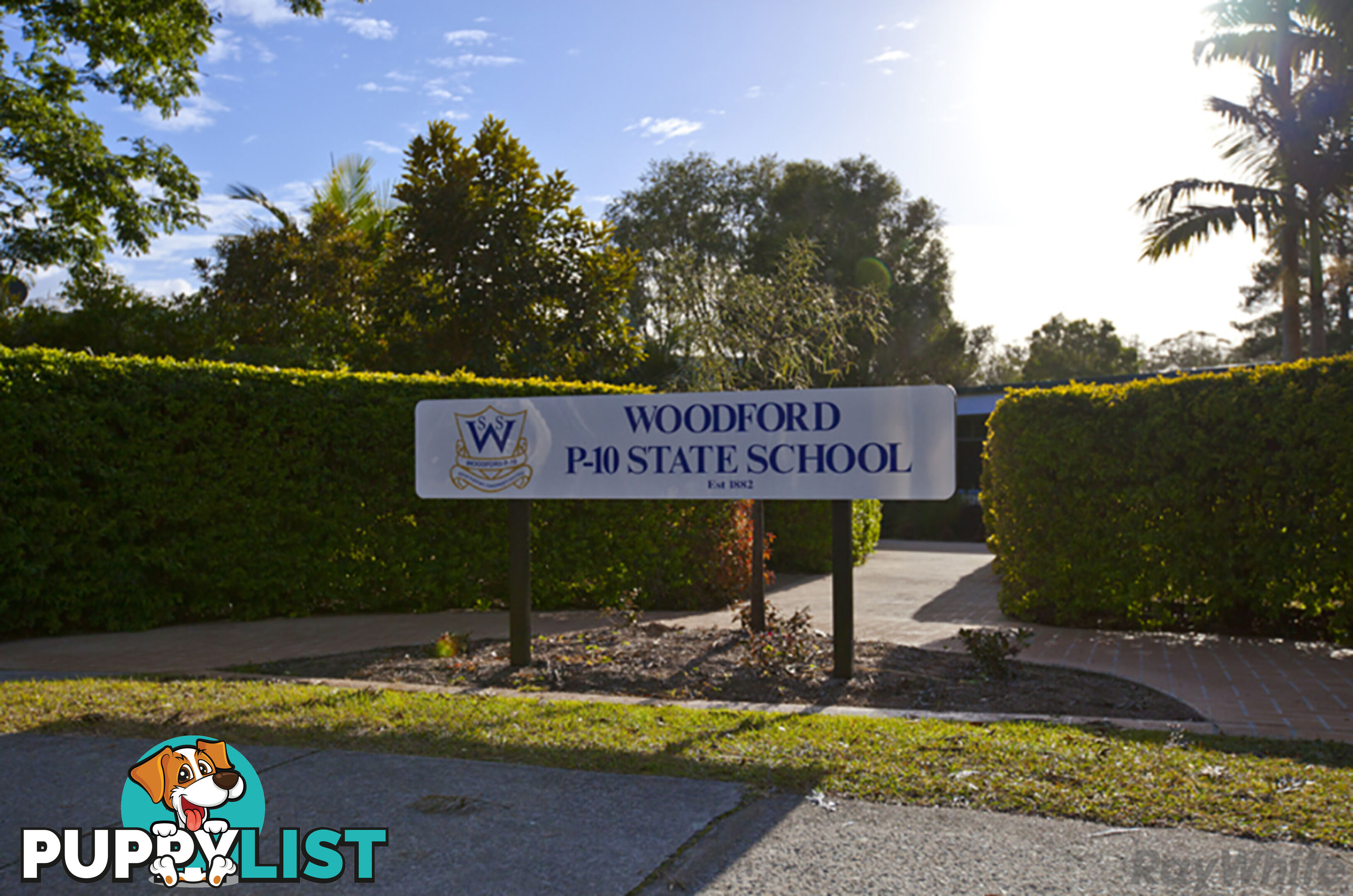 37 Archer Street WOODFORD QLD 4514