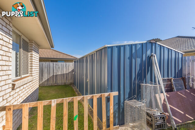 4 Jordan Court CABOOLTURE QLD 4510