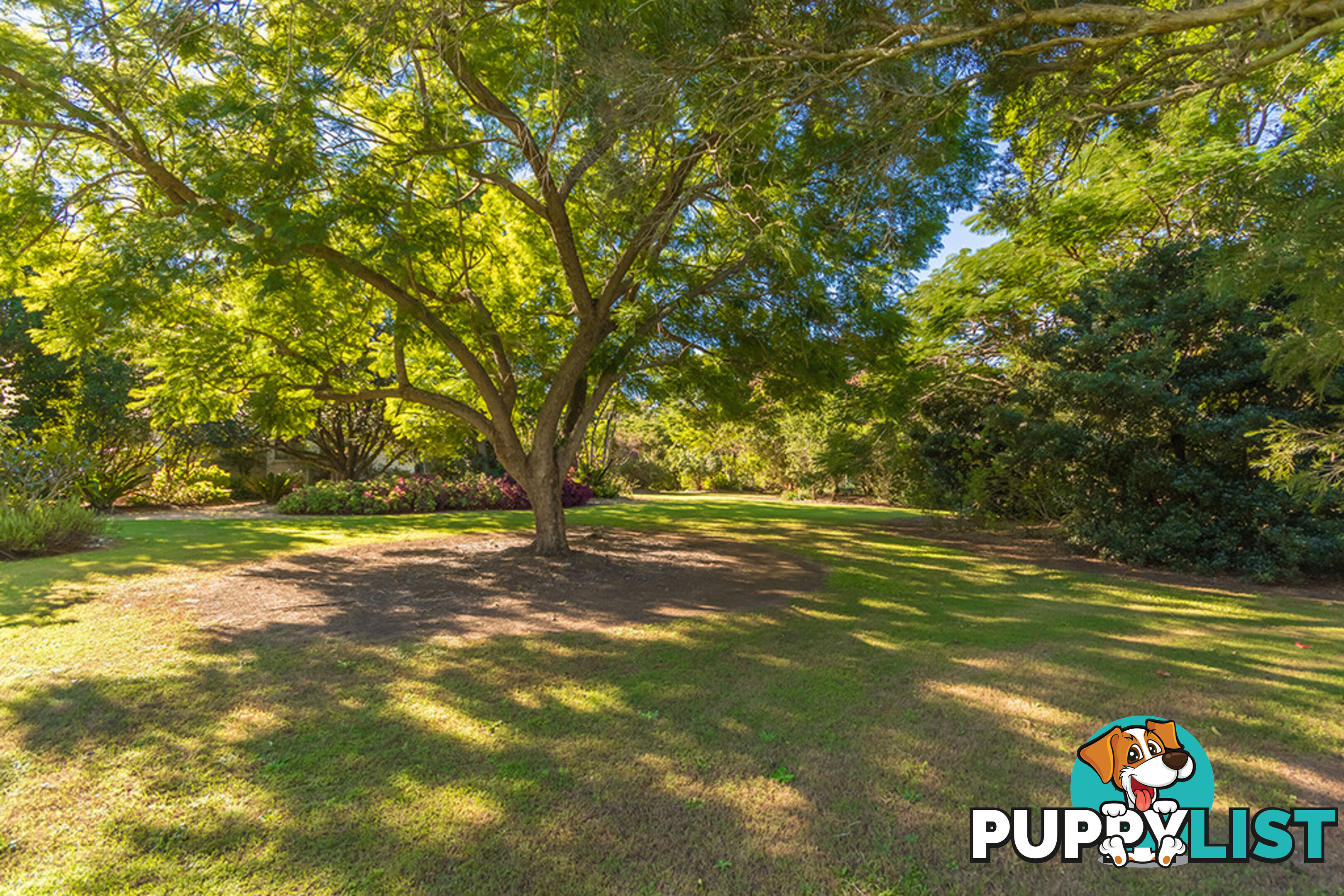 143 Bells Lane BELLMERE QLD 4510