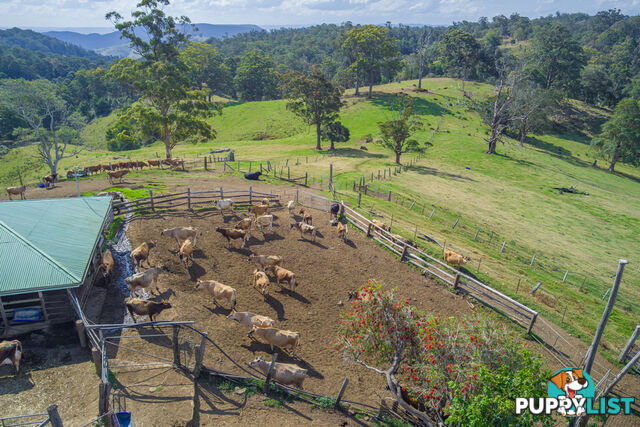 MOUNT MEE QLD 4521