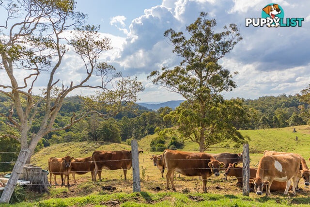 MOUNT MEE QLD 4521