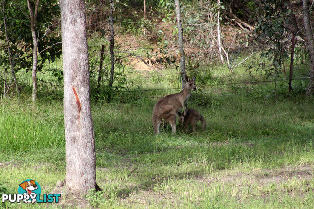 BELLMERE QLD 4510