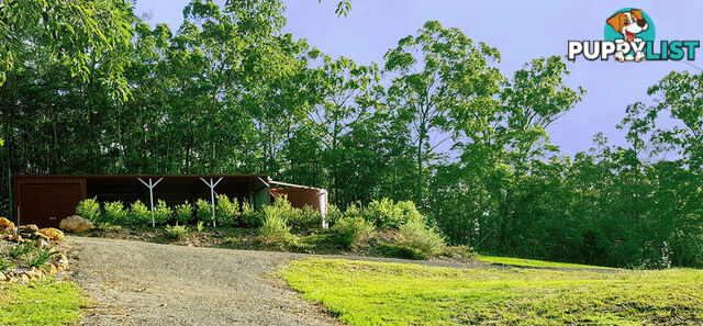 534 Old Gympie Road ELIMBAH QLD 4516