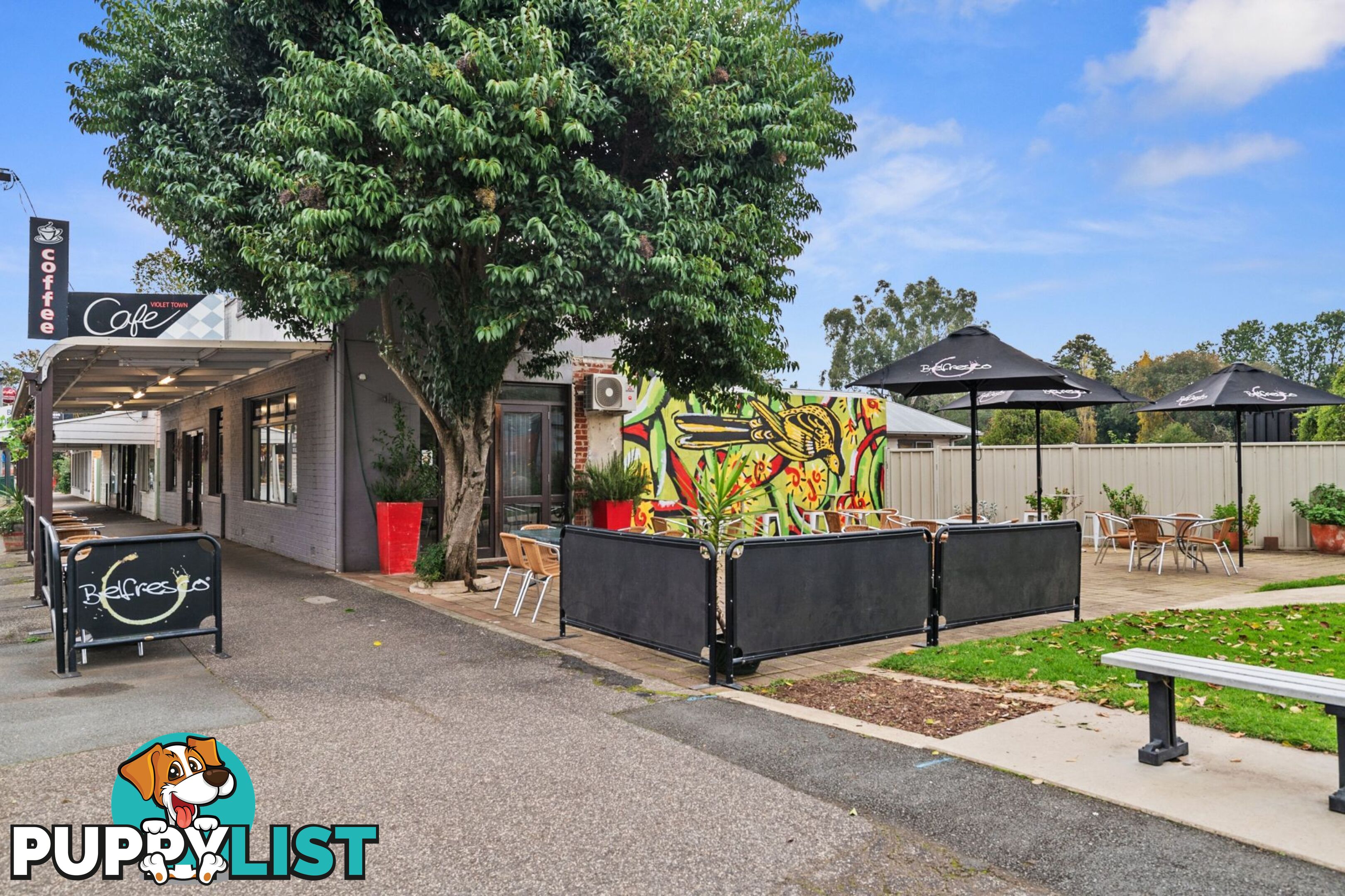 37 Cowslip Street Violet Town VIC 3669