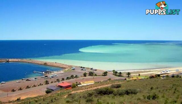 Lot 1 McBryde Terrace Whyalla Norrie SA 5608