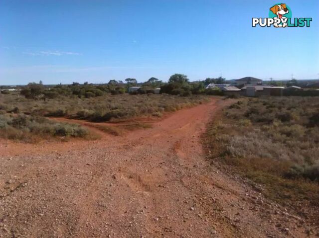 Lot 1 McBryde Terrace Whyalla Norrie SA 5608