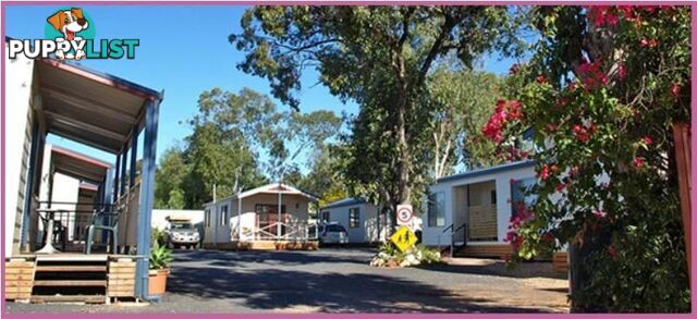 Lightning Ridge NSW 2834