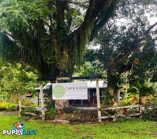 2539 Mossman Daintree Road Lower Daintree QLD 4873