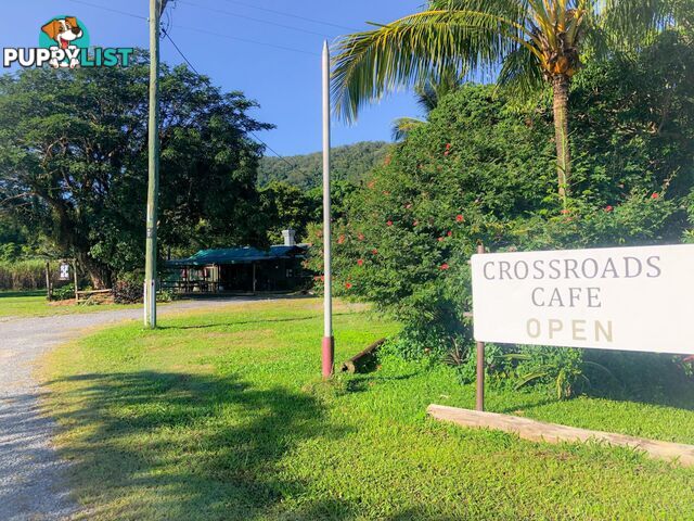 2539 Mossman Daintree Road Lower Daintree QLD 4873