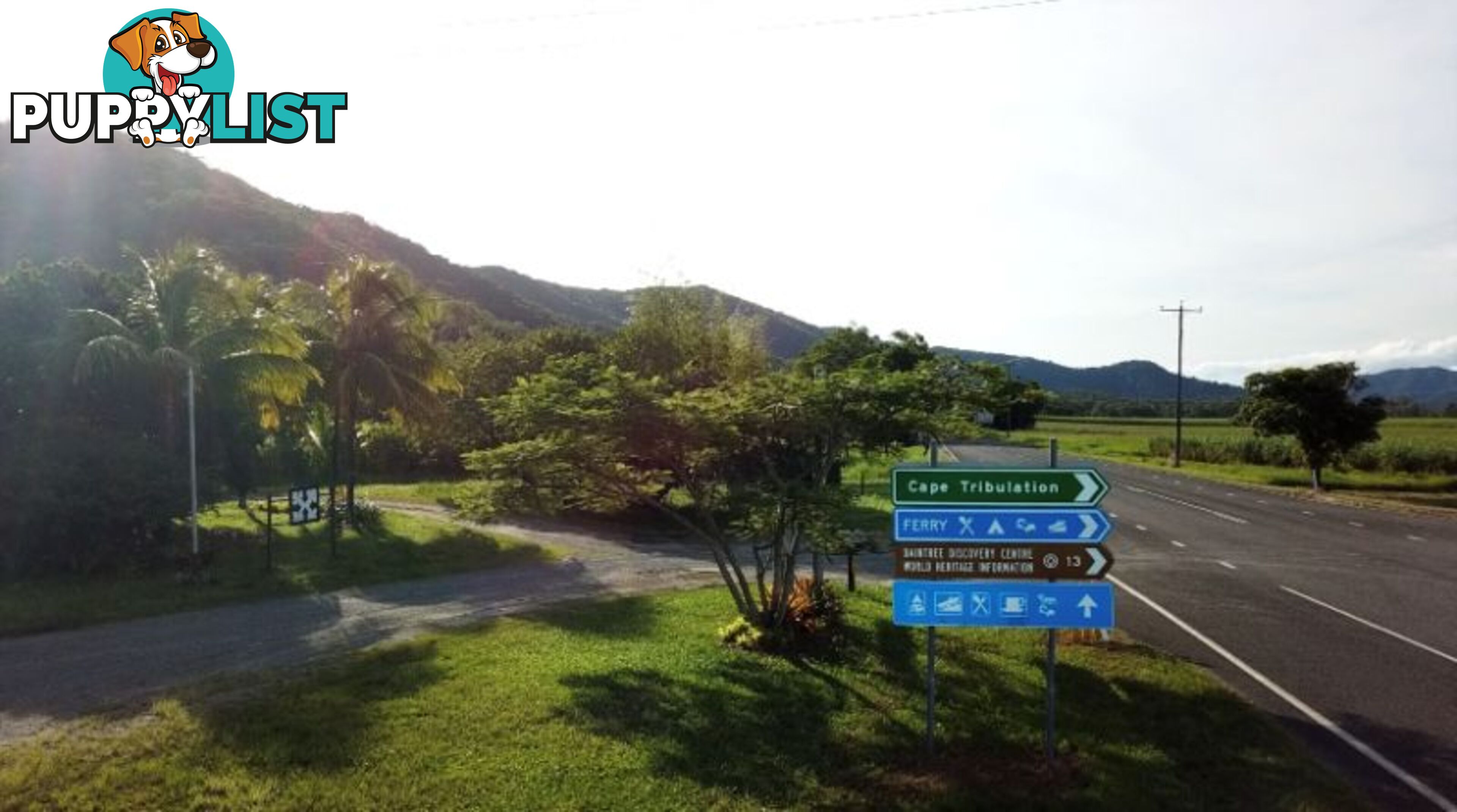 2539 Mossman Daintree Road Lower Daintree QLD 4873