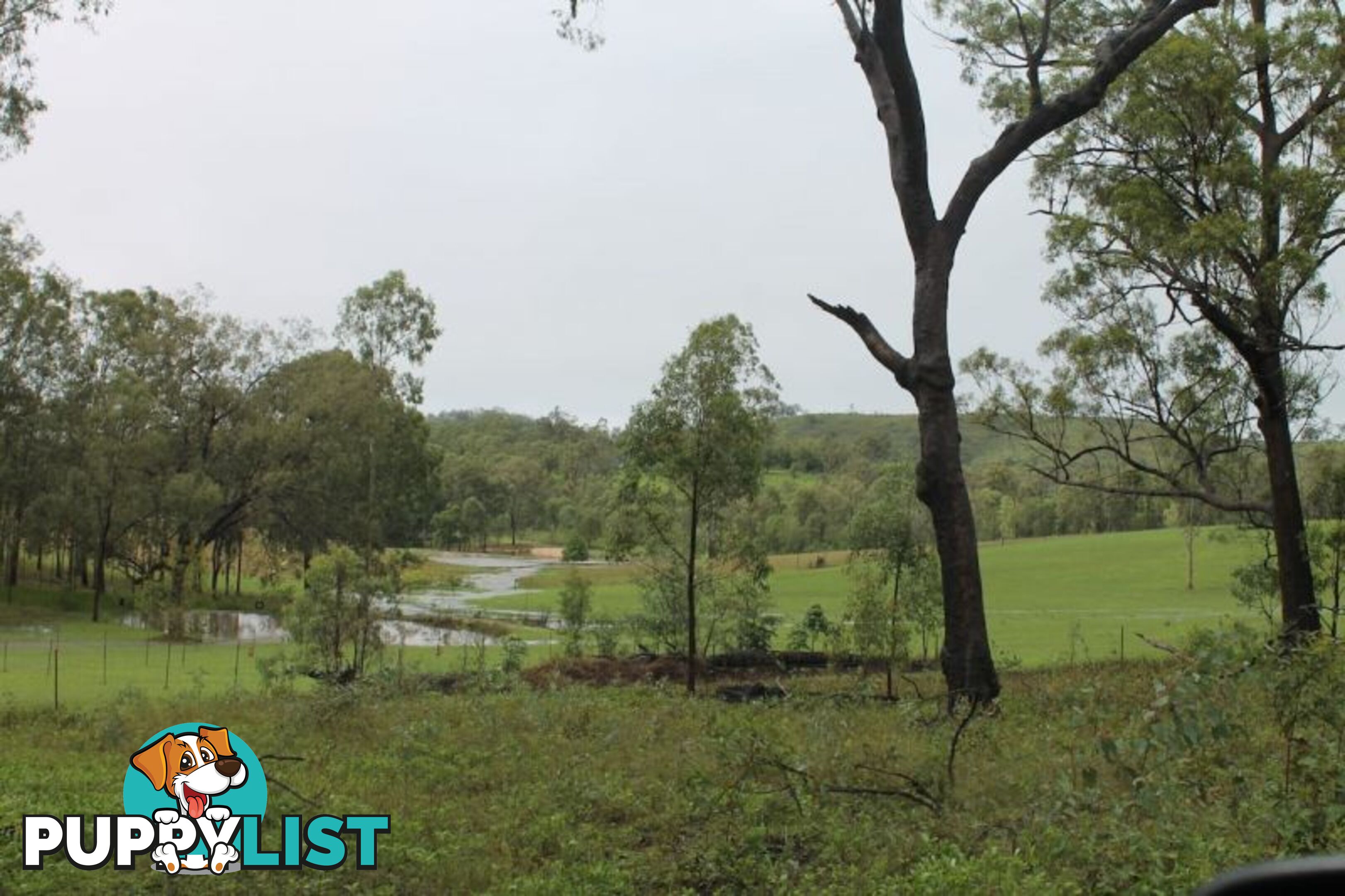 634 Duckpond Road Moolboolaman QLD 4671