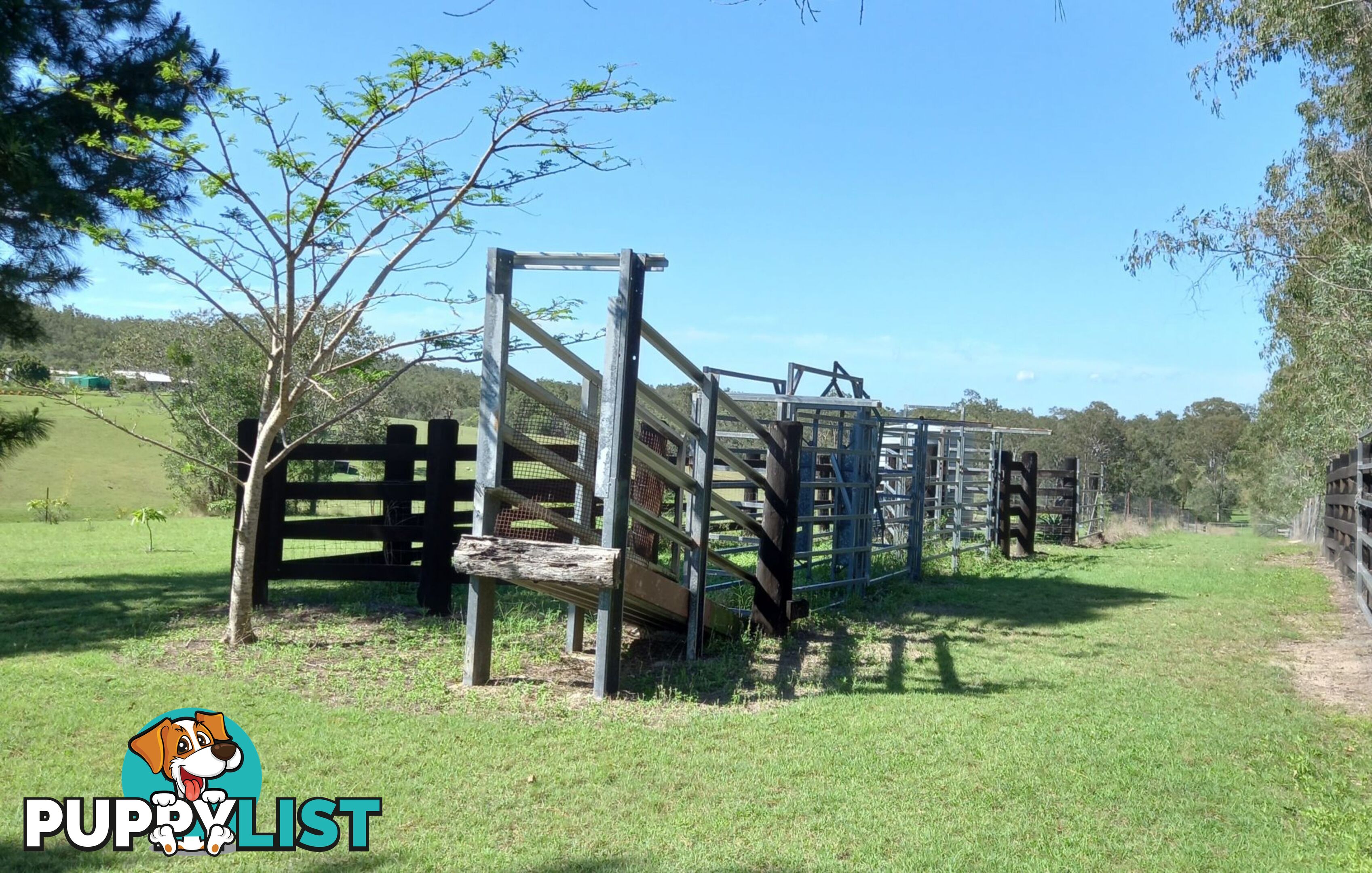 634 Duckpond Road Moolboolaman QLD 4671