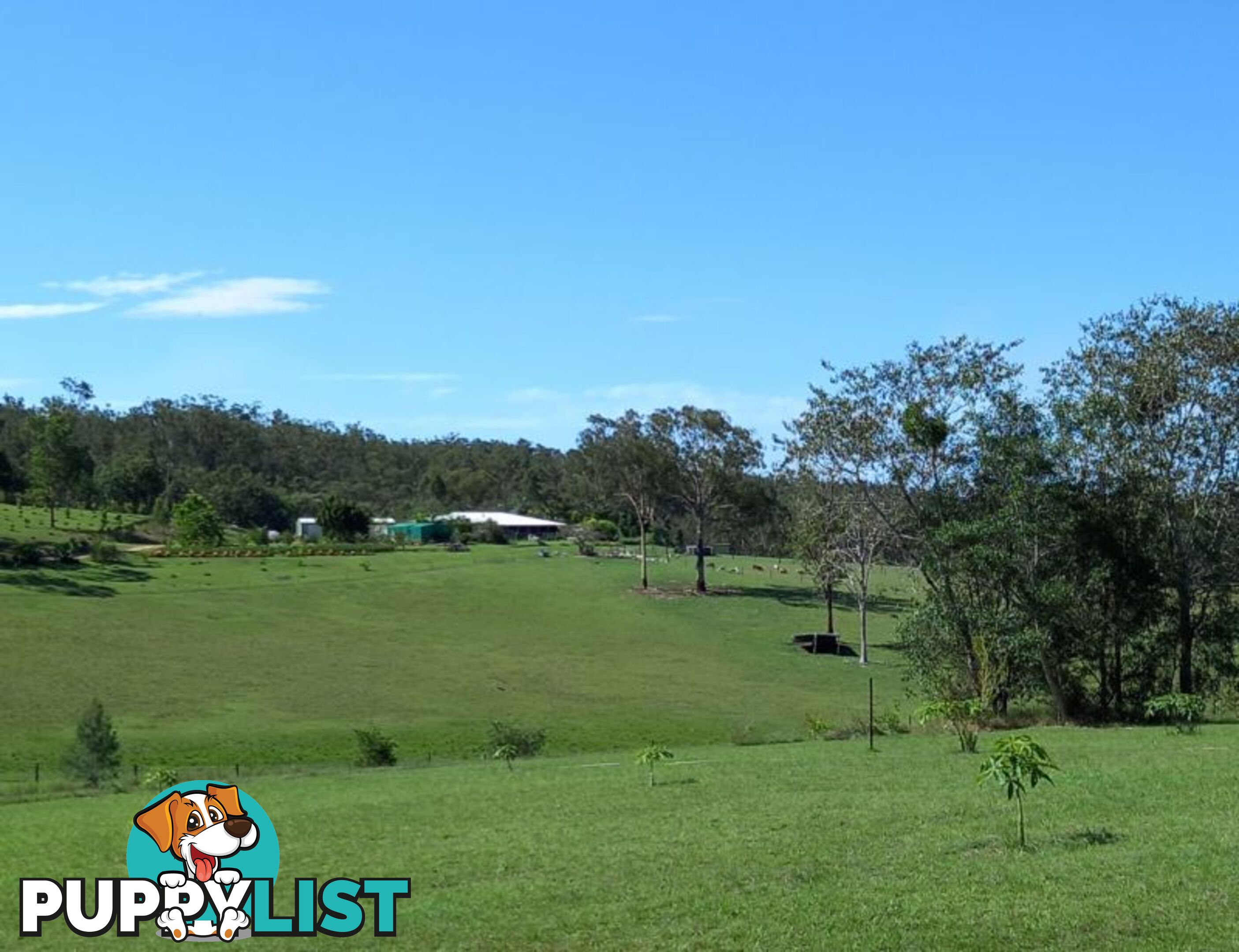 634 Duckpond Road Moolboolaman QLD 4671