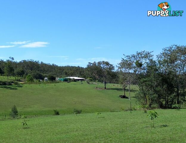 634 Duckpond Road Moolboolaman QLD 4671