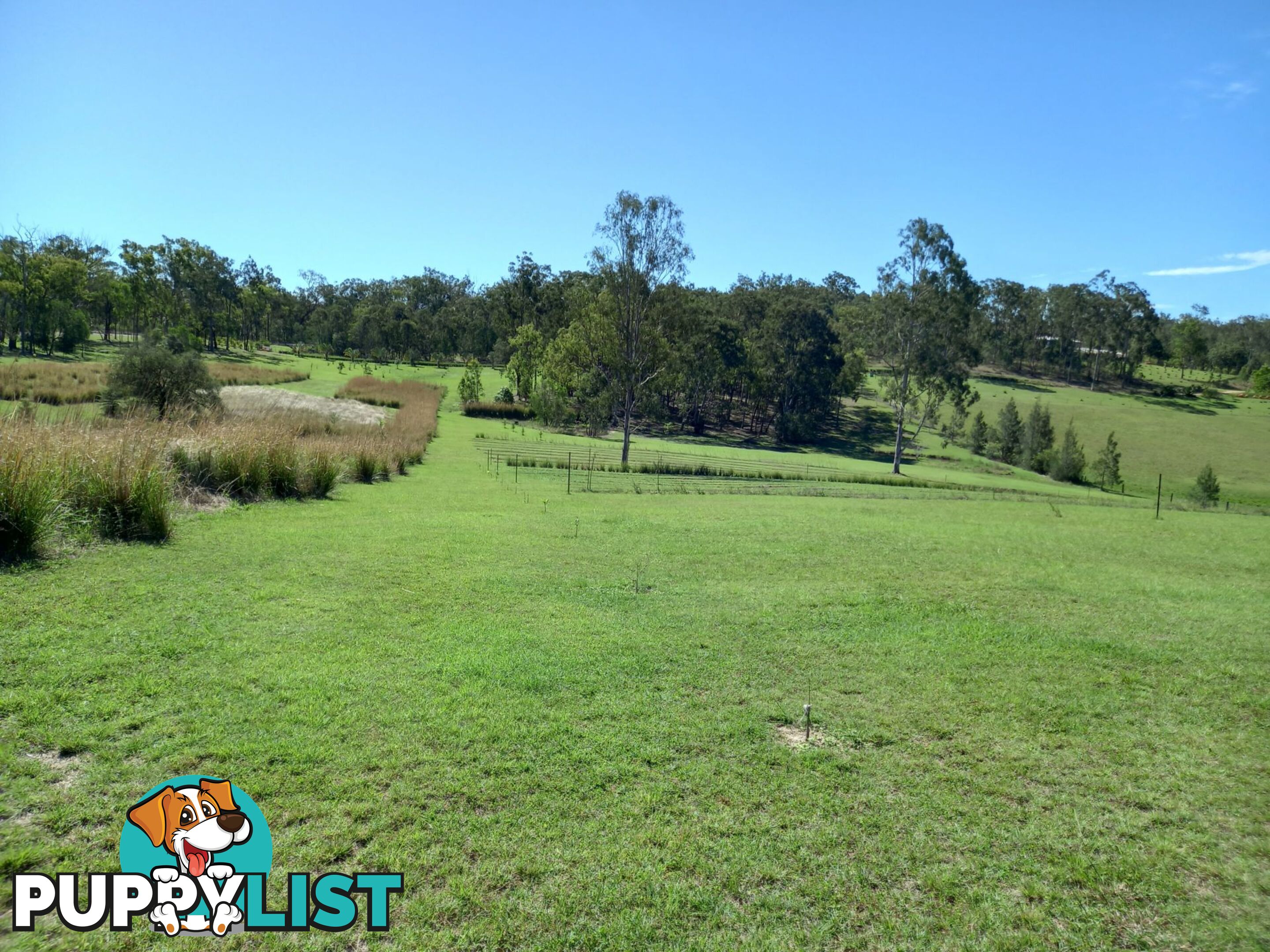 634 Duckpond Road Moolboolaman QLD 4671