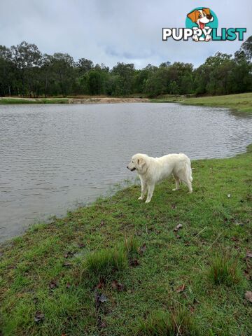 634 Duckpond Road Moolboolaman QLD 4671