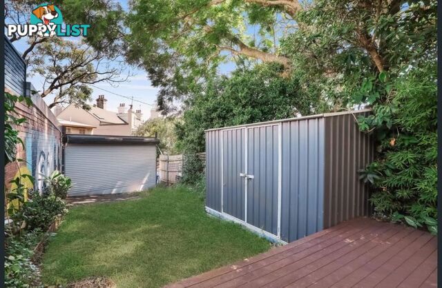 248 Glenmore Road Paddington NSW 2021