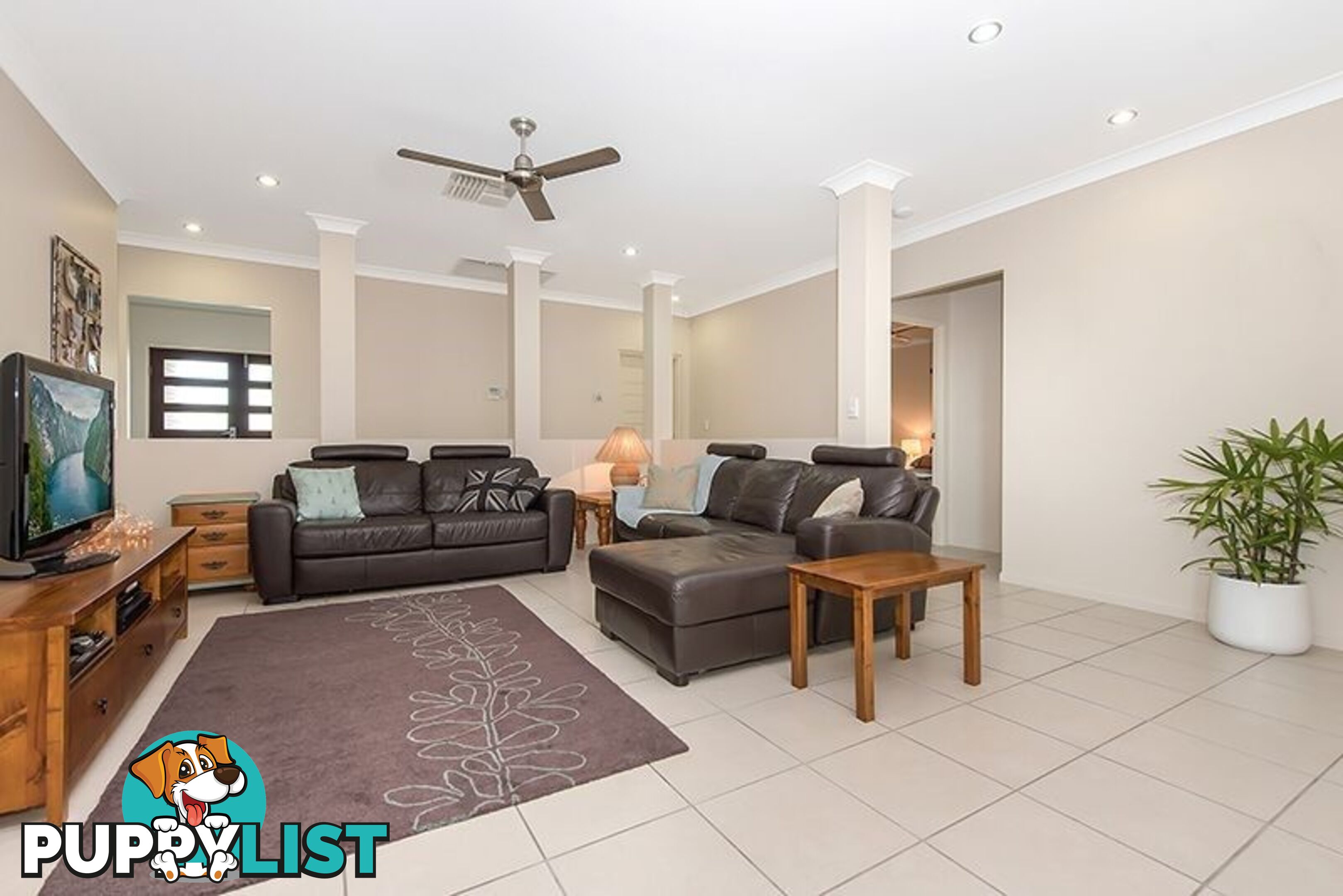 13 Kiandra Place Mount Louisa QLD 4814