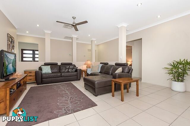 13 Kiandra Place Mount Louisa QLD 4814