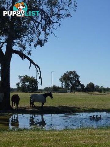 Wagga Wagga NSW 2650