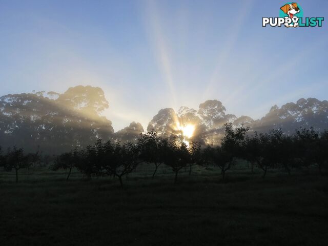 The Denmark Heritage Cider Company 218 Glenrowan Road Scotsdale WA 6333