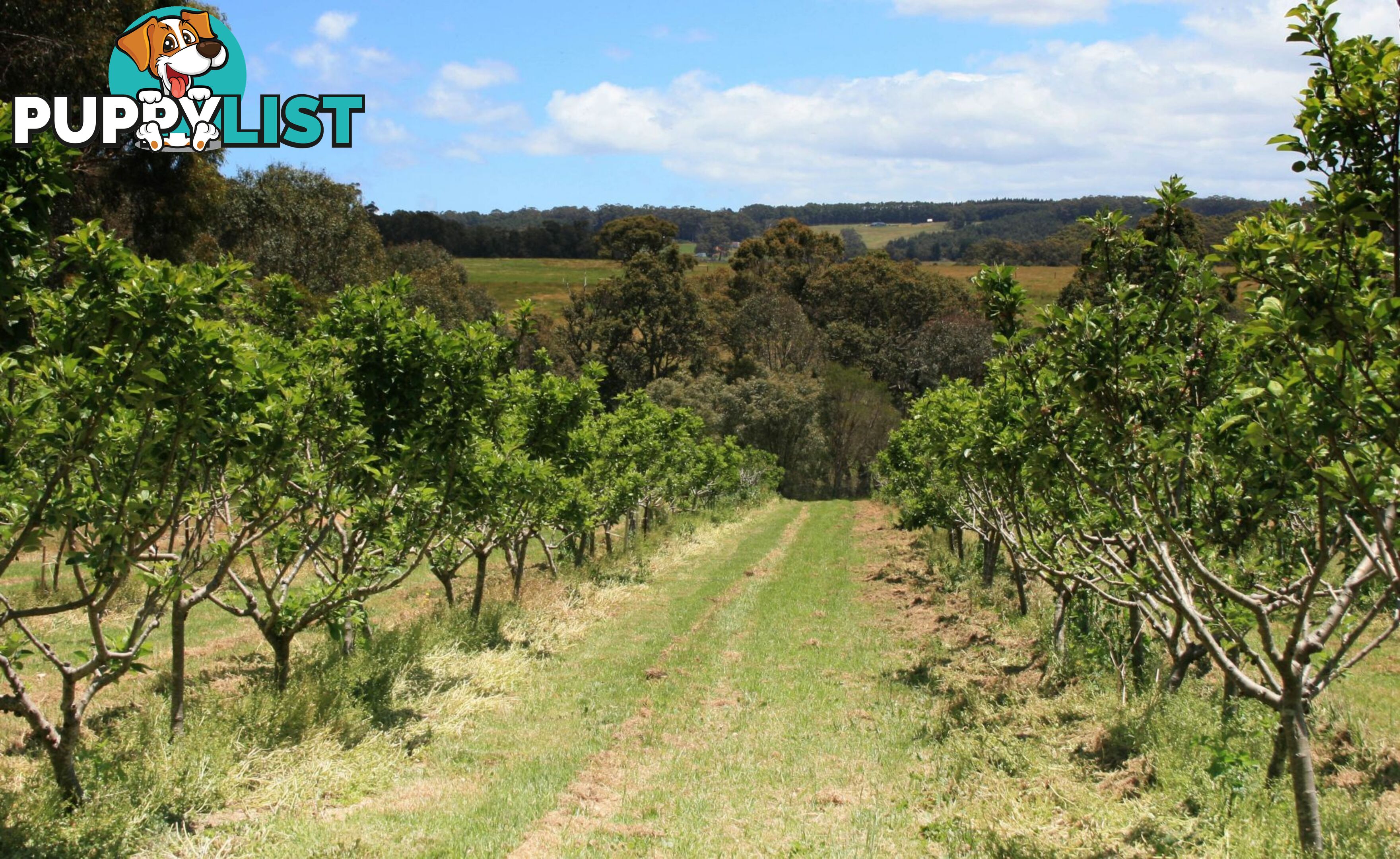 The Denmark Heritage Cider Company 218 Glenrowan Road Scotsdale WA 6333