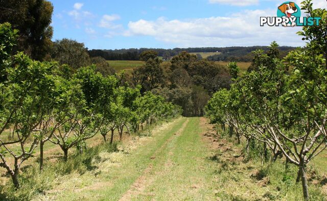 The Denmark Heritage Cider Company 218 Glenrowan Road Scotsdale WA 6333