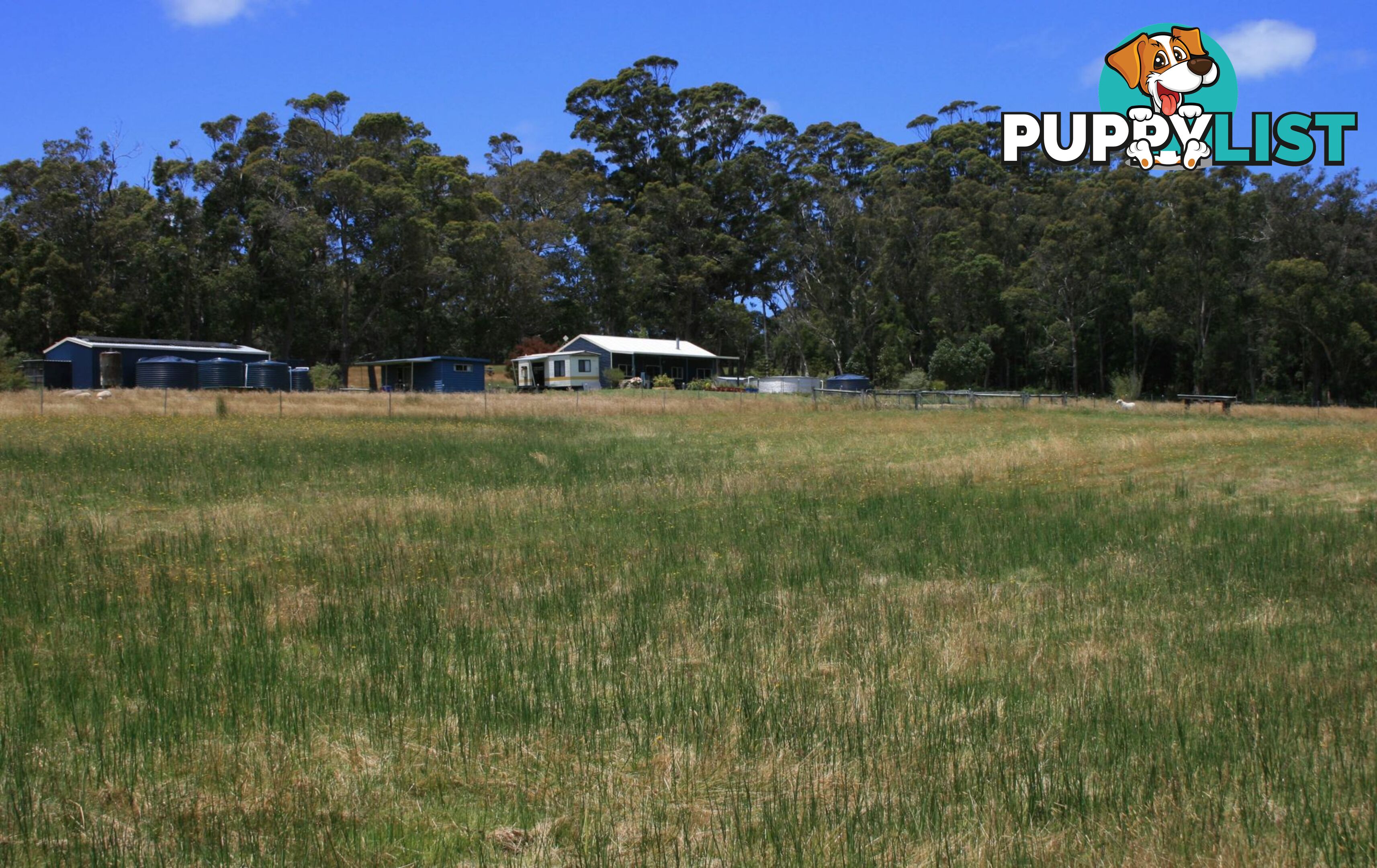 The Denmark Heritage Cider Company 218 Glenrowan Road Scotsdale WA 6333