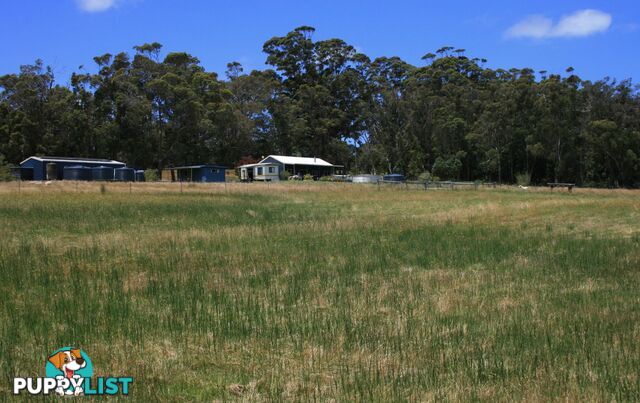 The Denmark Heritage Cider Company 218 Glenrowan Road Scotsdale WA 6333