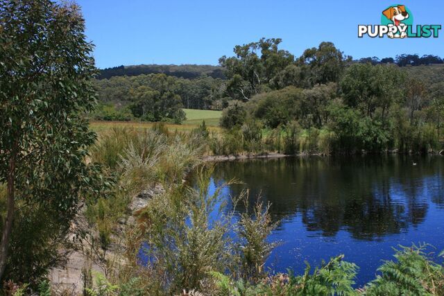 The Denmark Heritage Cider Company 218 Glenrowan Road Scotsdale WA 6333