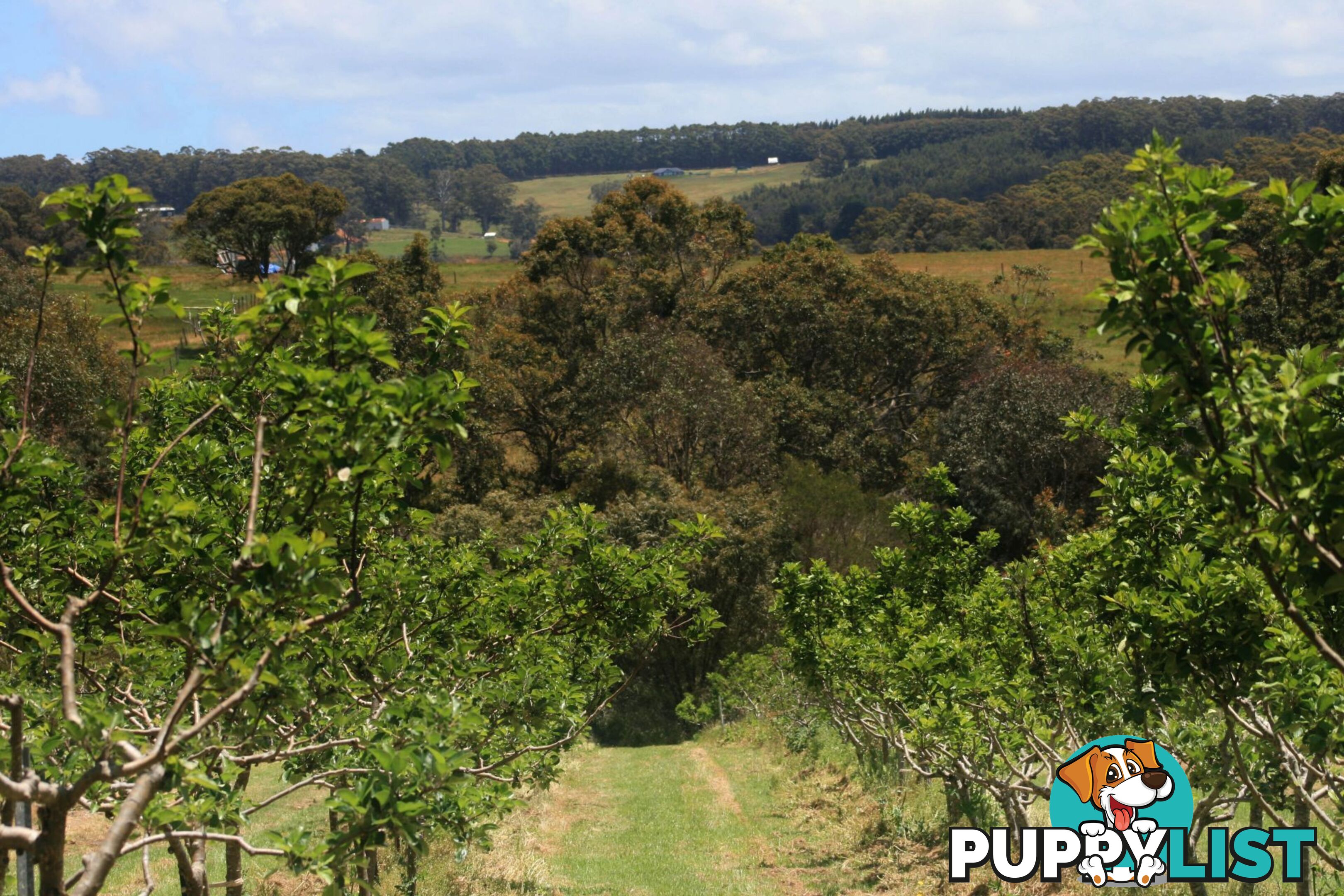 The Denmark Heritage Cider Company 218 Glenrowan Road Scotsdale WA 6333