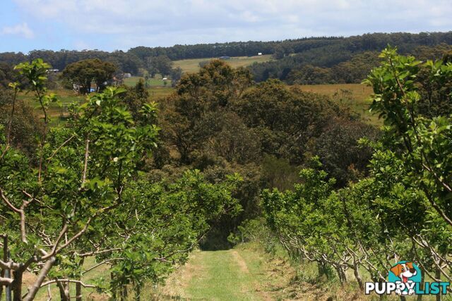 The Denmark Heritage Cider Company 218 Glenrowan Road Scotsdale WA 6333