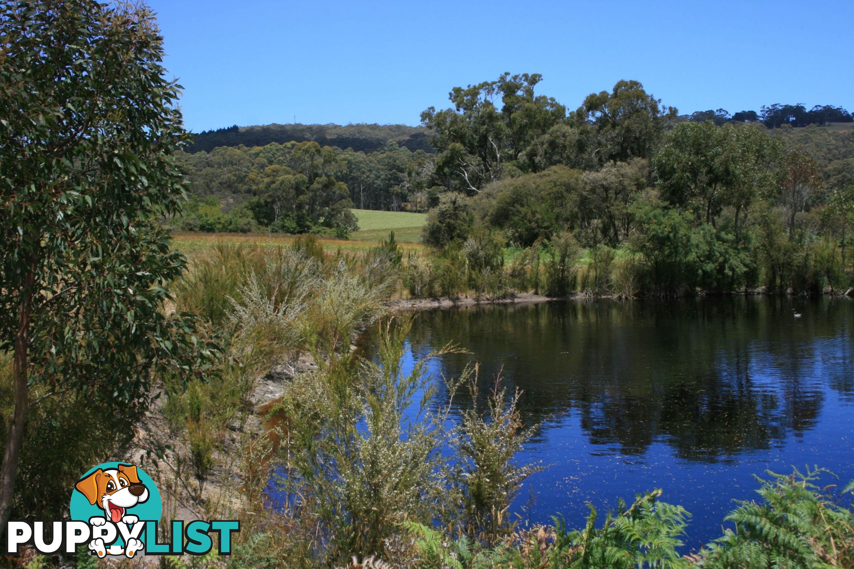 The Denmark Heritage Cider Company 218 Glenrowan Road Scotsdale WA 6333