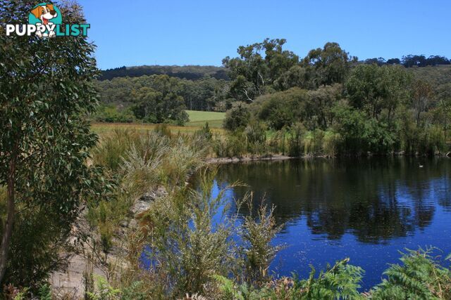 The Denmark Heritage Cider Company 218 Glenrowan Road Scotsdale WA 6333