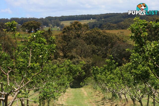 The Denmark Heritage Cider Company 218 Glenrowan Road Scotsdale WA 6333