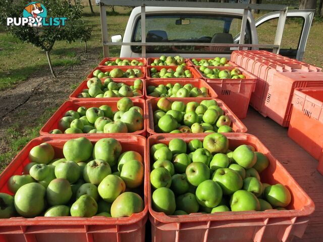 The Denmark Heritage Cider Company 218 Glenrowan Road Scotsdale WA 6333