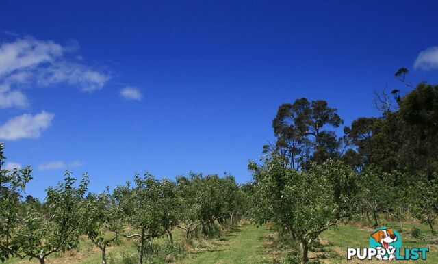 The Denmark Heritage Cider Company 218 Glenrowan Road Scotsdale WA 6333