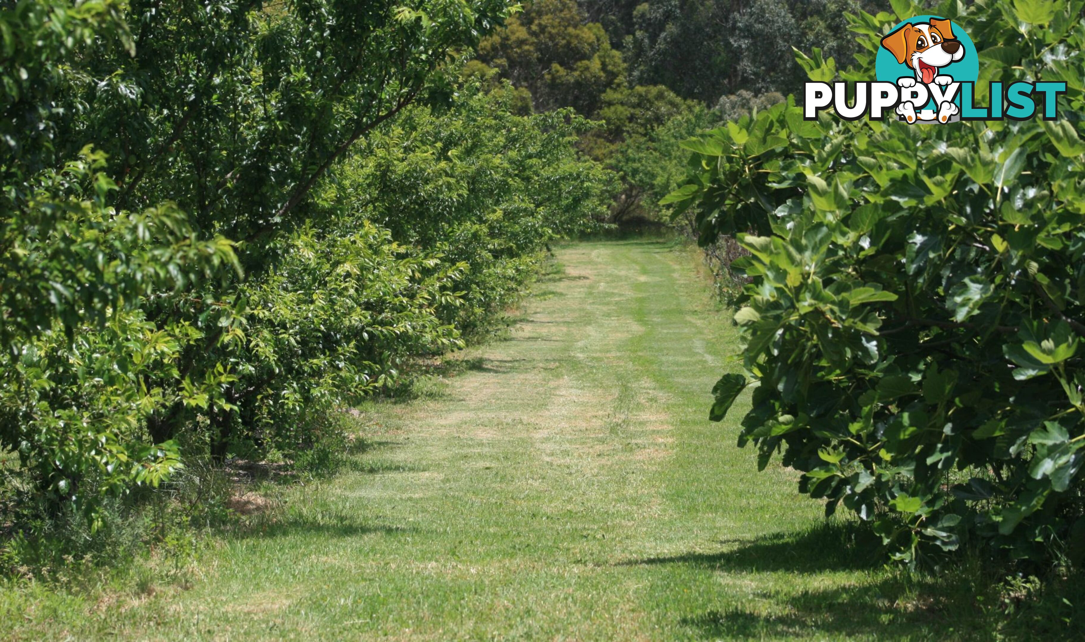 The Denmark Heritage Cider Company 218 Glenrowan Road Scotsdale WA 6333