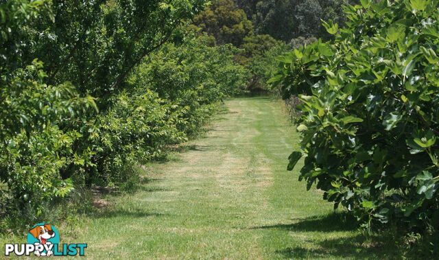 The Denmark Heritage Cider Company 218 Glenrowan Road Scotsdale WA 6333