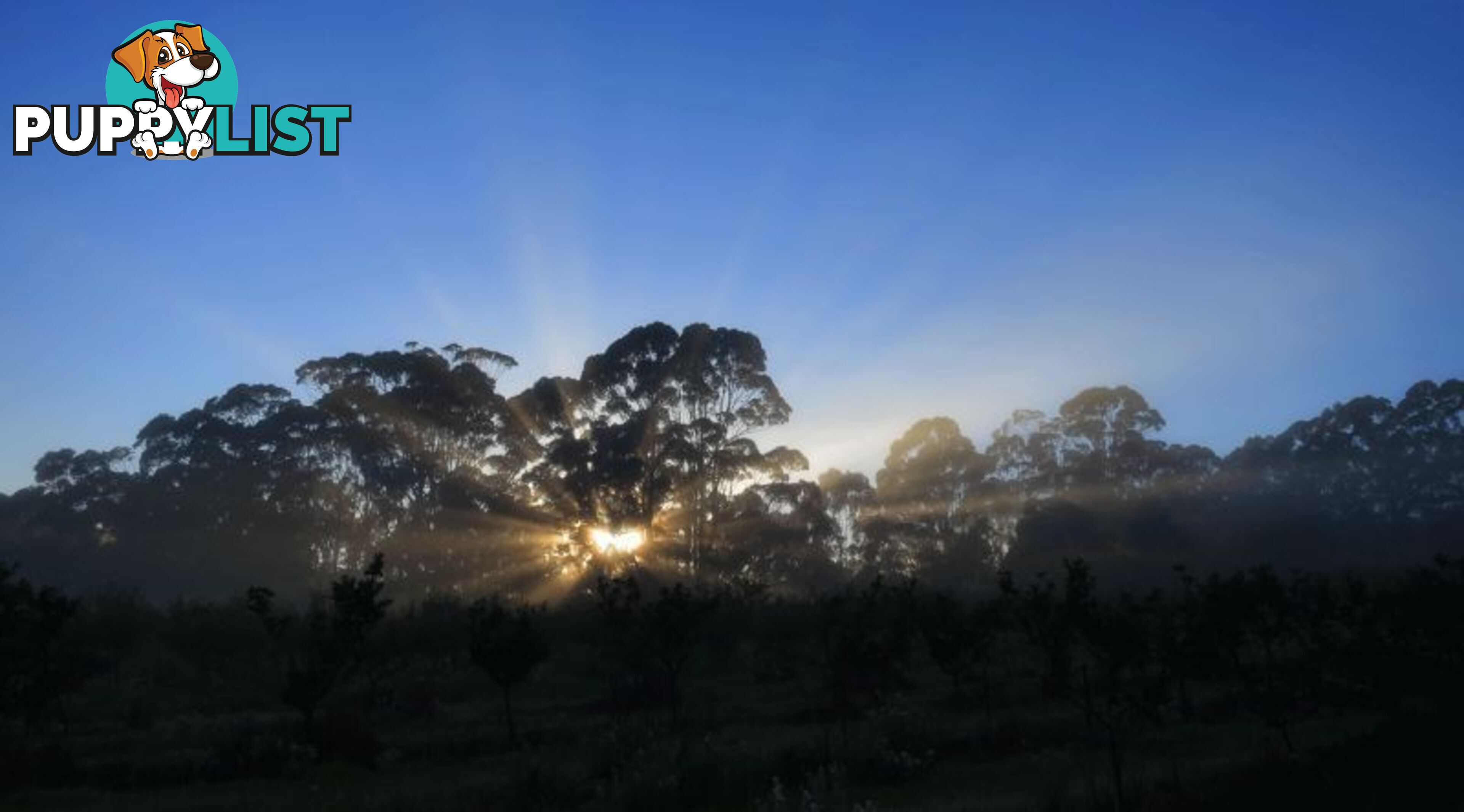 The Denmark Heritage Cider Company 218 Glenrowan Road Scotsdale WA 6333