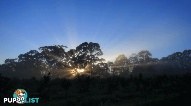 The Denmark Heritage Cider Company 218 Glenrowan Road Scotsdale WA 6333