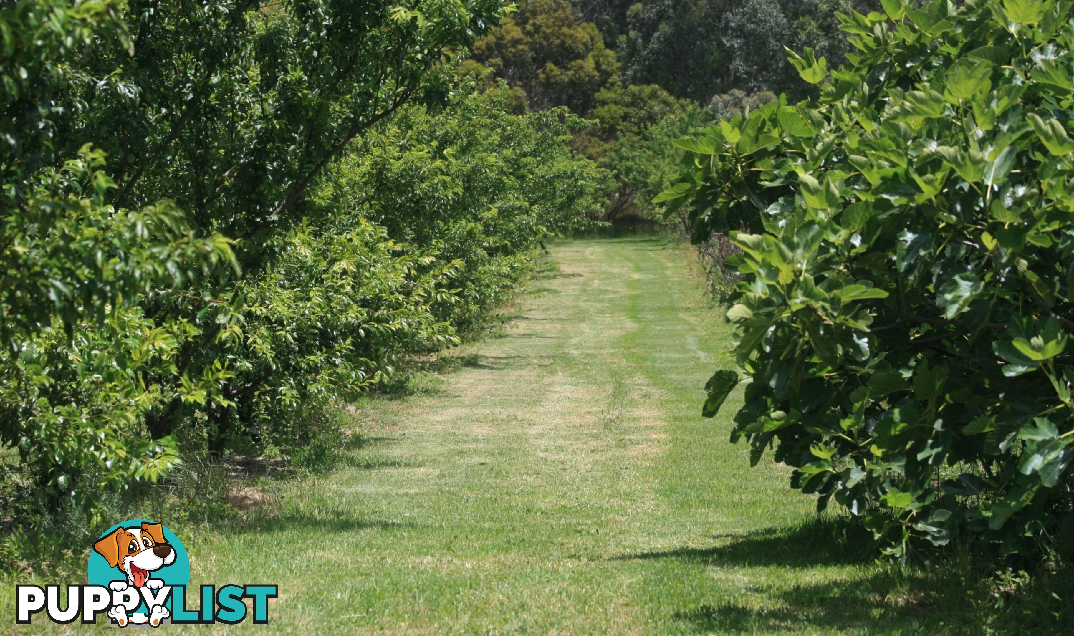 The Denmark Heritage Cider Company 218 Glenrowan Road Scotsdale WA 6333