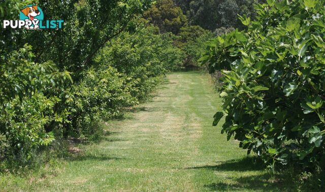 The Denmark Heritage Cider Company 218 Glenrowan Road Scotsdale WA 6333