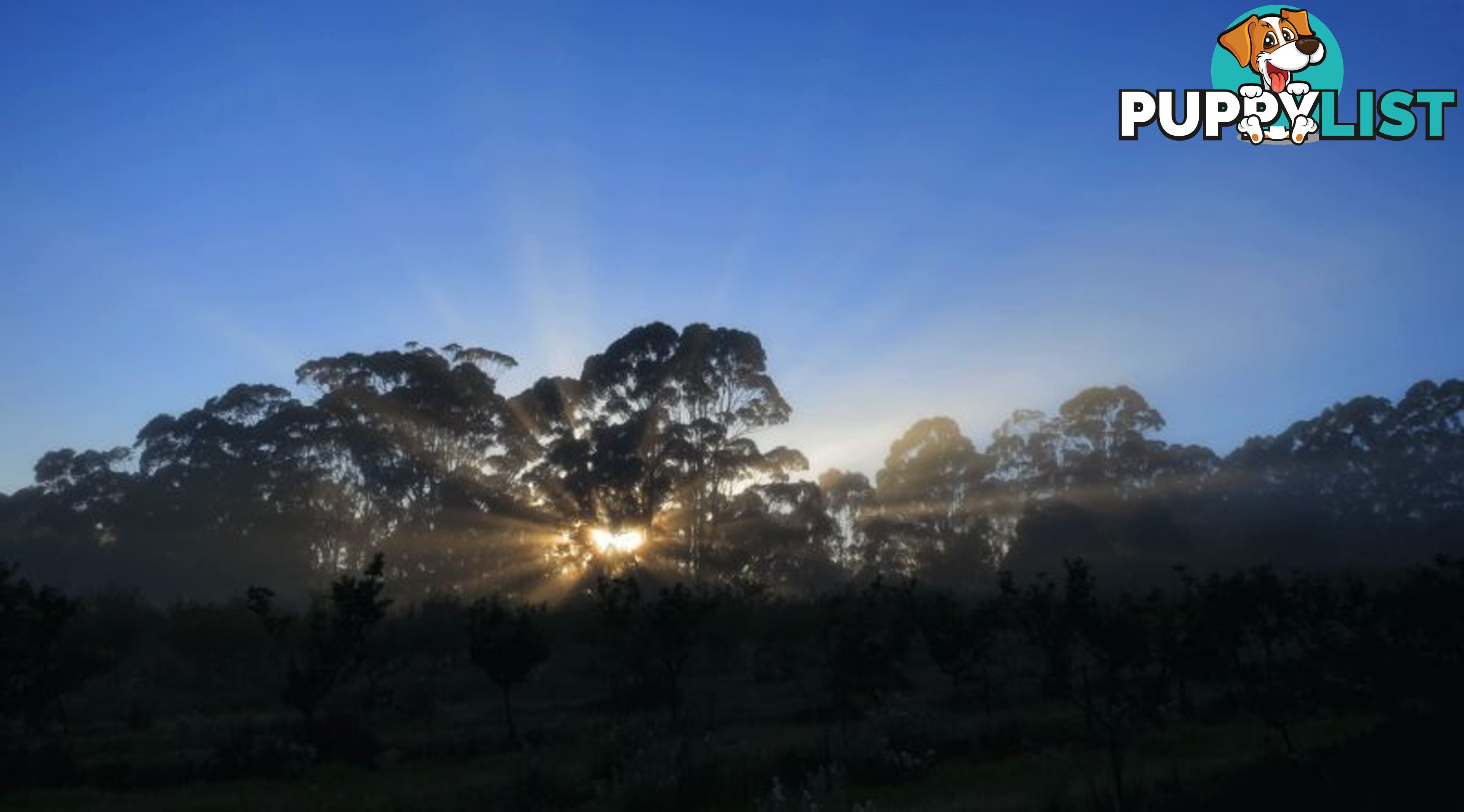 The Denmark Heritage Cider Company 218 Glenrowan Road Scotsdale WA 6333