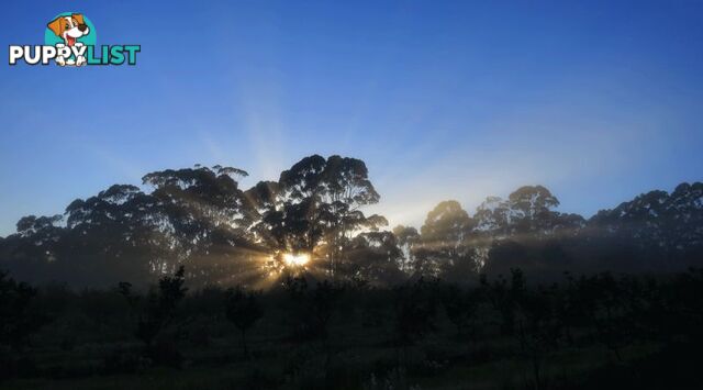 The Denmark Heritage Cider Company 218 Glenrowan Road Scotsdale WA 6333