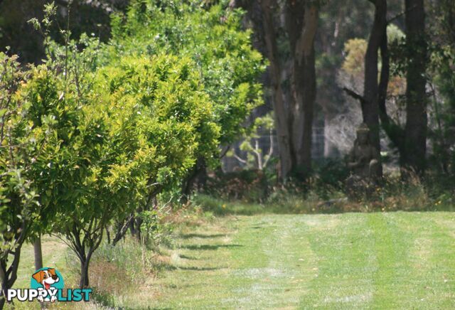 The Denmark Heritage Cider Company 218 Glenrowan Road Scotsdale WA 6333