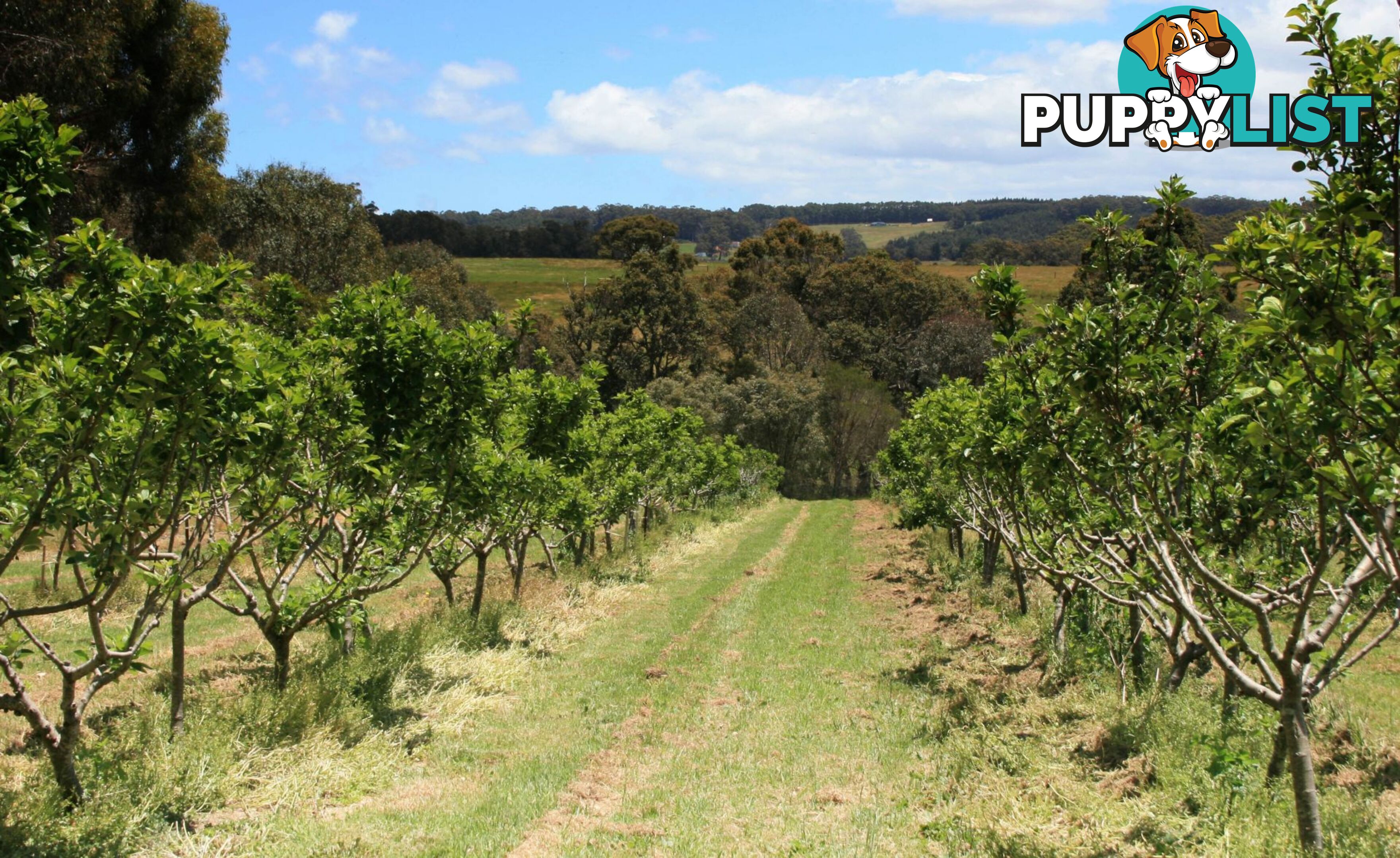 The Denmark Heritage Cider Company 218 Glenrowan Road Scotsdale WA 6333