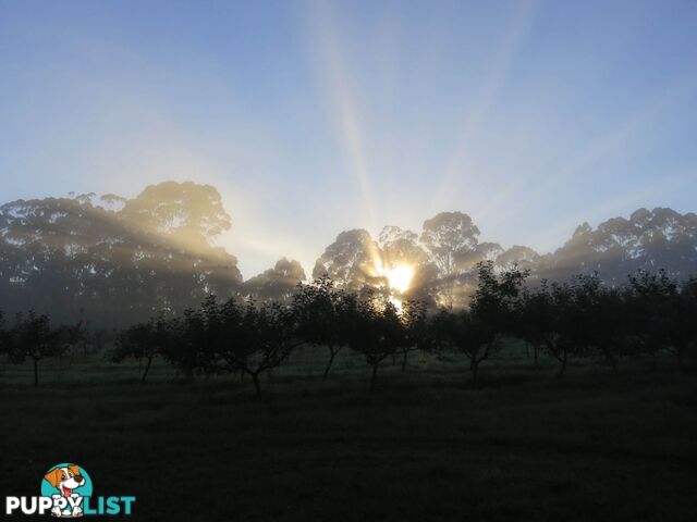 The Denmark Heritage Cider Company 218 Glenrowan Road Scotsdale WA 6333