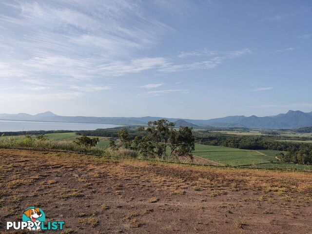 Lots 26 & 27 Hibiscus Court, Port Douglas Views Miallo QLD 4873